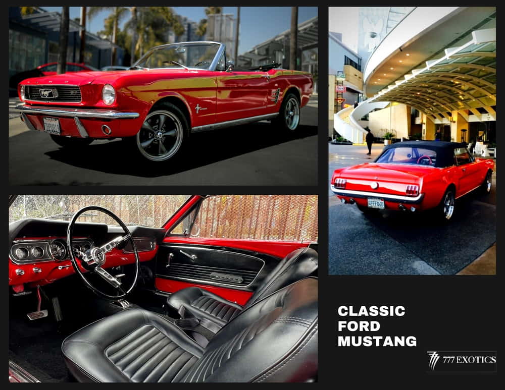 collage of ford mustang