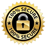 seal of ssl secure